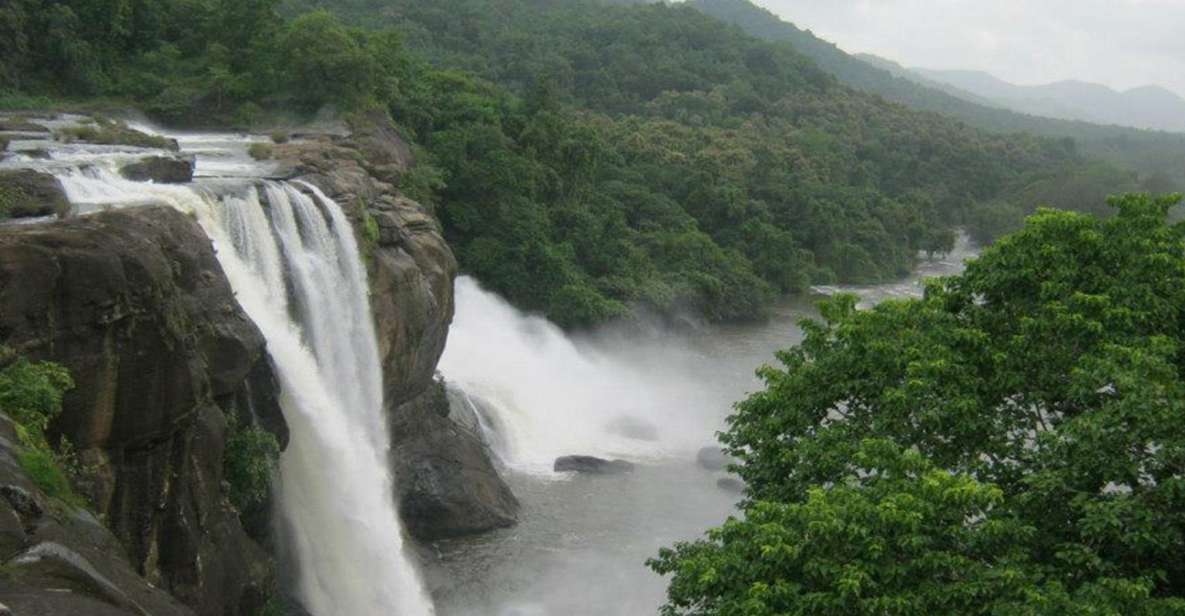 From Cochin: Athirappilly Waterfall Excursion With Lunch - Key Points