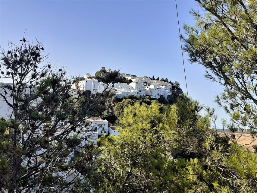 From Costa Del Sol: Casares Private Tour - Key Points