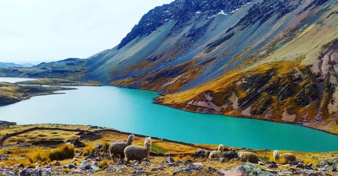 From Cusco: Ausangate 7 Lagoons Tour 1 Day. - Key Points
