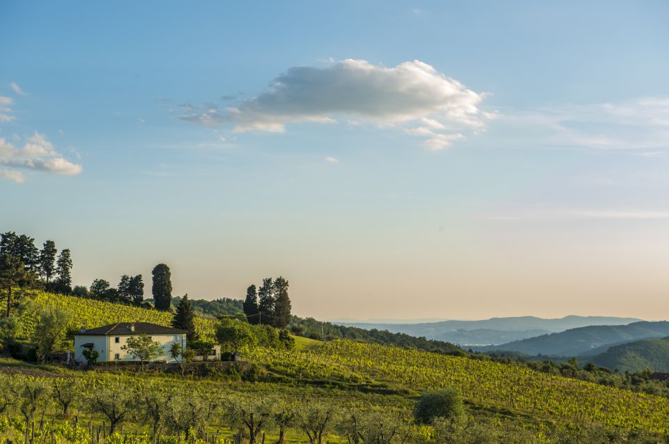 From Florence: Chianti Rufina Private Tour And Food Tasting - Key Points