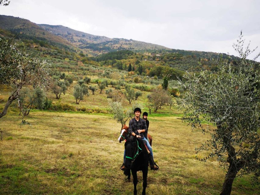 From Florence: Horseback Ride and Olive Oil and Food Tasting - Key Points