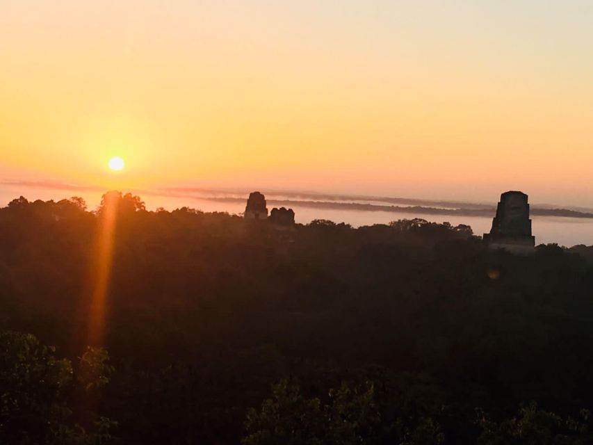 From Flores: Tikal Guided Tour With Transportation - Key Points