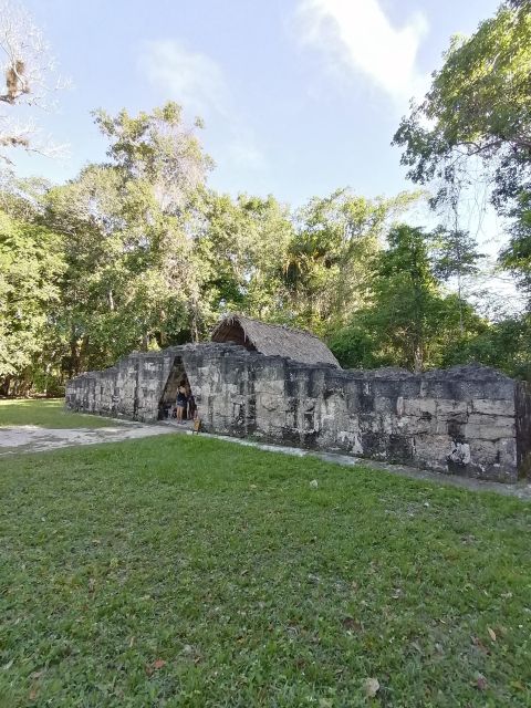 From Flores: Tikal Private Tour for Groups - Key Points