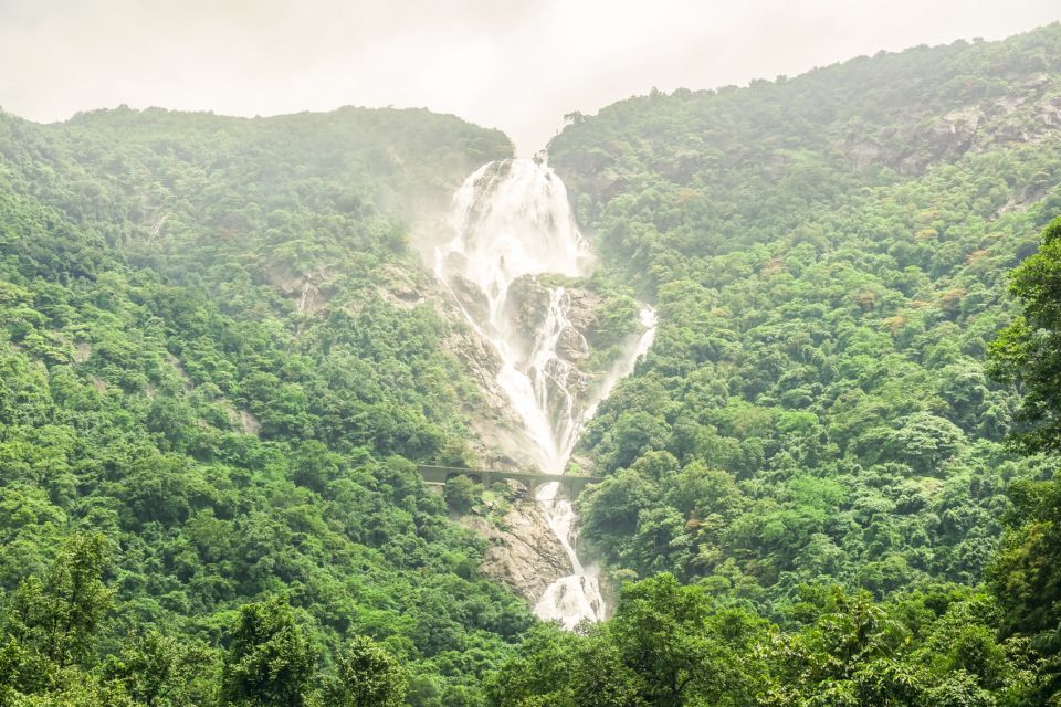 From Goa: Dudhsagar Waterfalls & Plantation Tour - Key Points