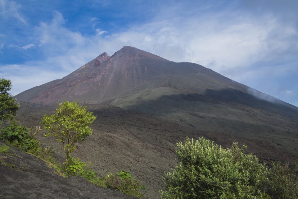 From Guatemala City or Antigua: Pacaya Volcano Day Tour