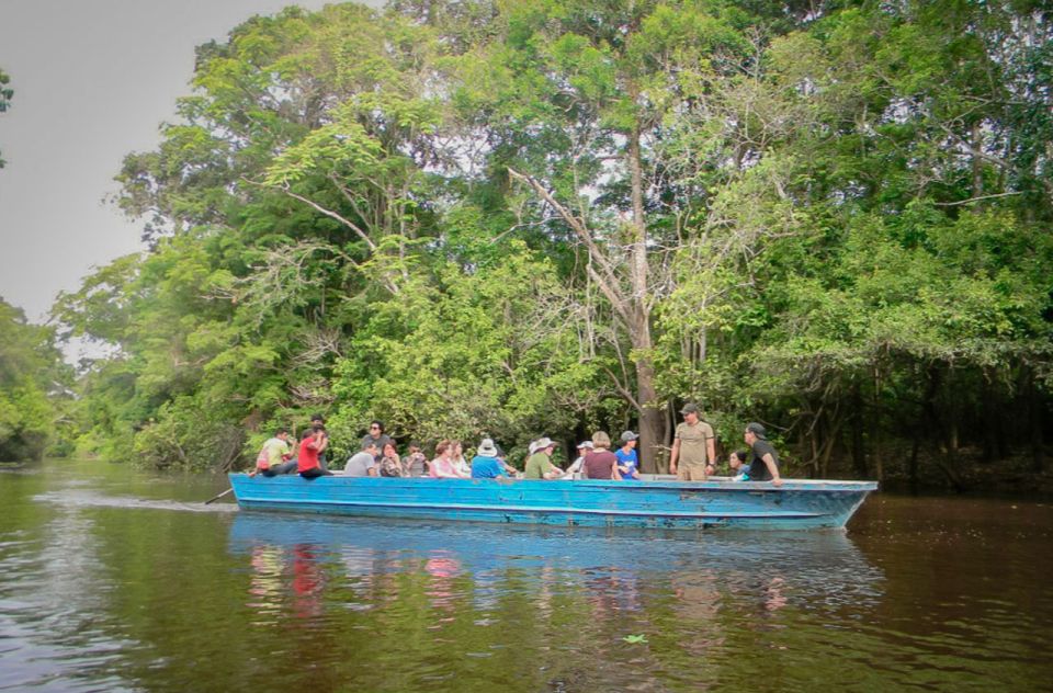 From Iquitos: 2-Day Amazon Rainforest Excursion - Key Points