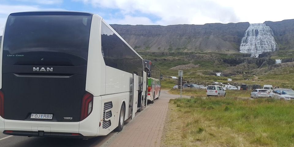 From Isafjordur: Dynjandi Waterfall Guided Day Trip by Bus - Key Points