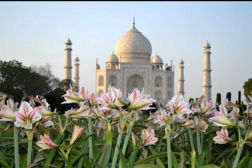 From Jaipur: Taj Mahal & Agra Fort Day Trip With Lunch - Key Points