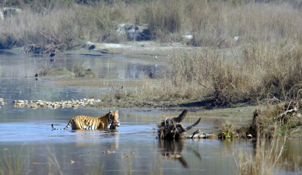 From Kathmandu: Guided 3-Days Bardia National Park Tour - Key Points