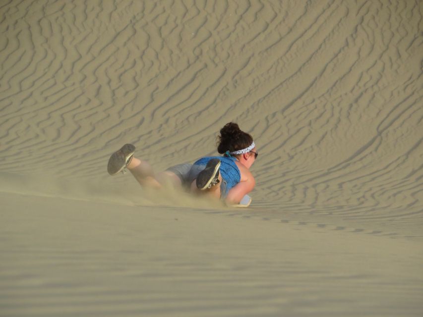 From Lima: Paracas and Huacachina Full Day Guided Tour - Key Points