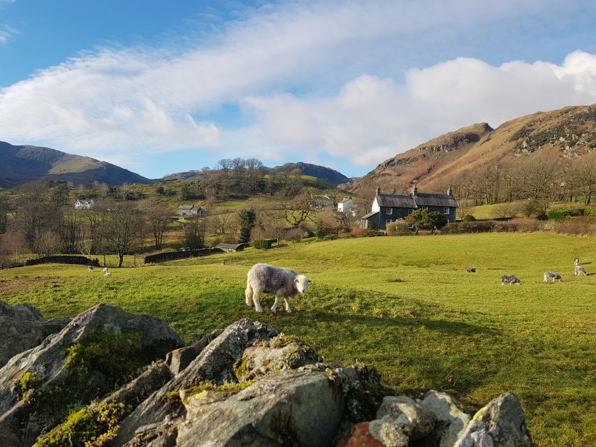 From Liverpool: Lake District Tour With Lake Cruise & Train - Key Points