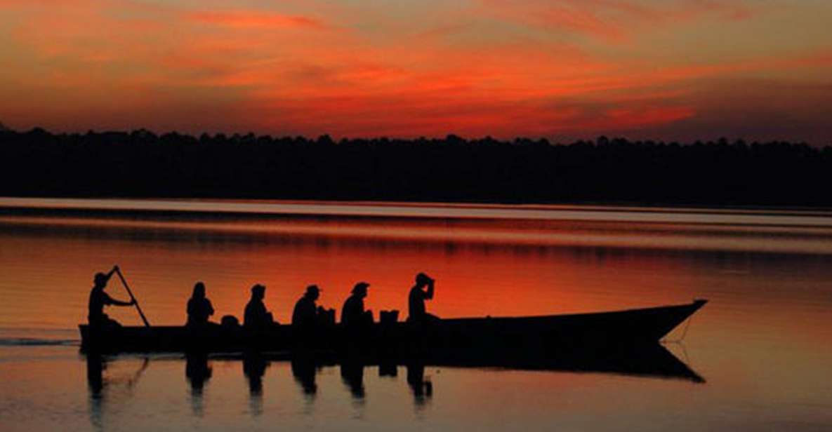 From Madre De Dios ||Night Trekking in the Amazon Rainforest - Key Points