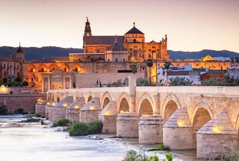 From Madrid: Córdoba Day Tour by Train - Key Points