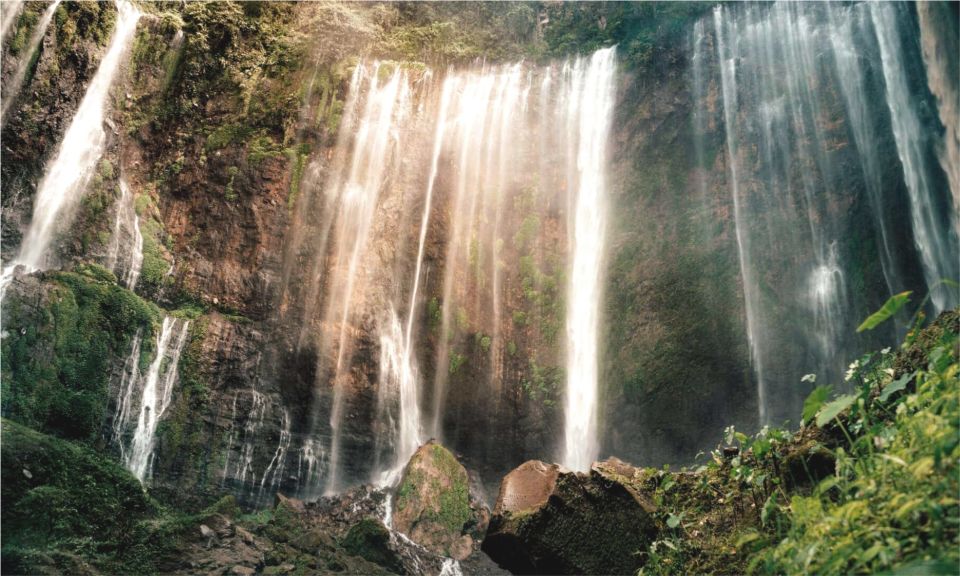 From Malang or Surabaya: Private Tumpak Sewu Waterfall Tour - Key Points