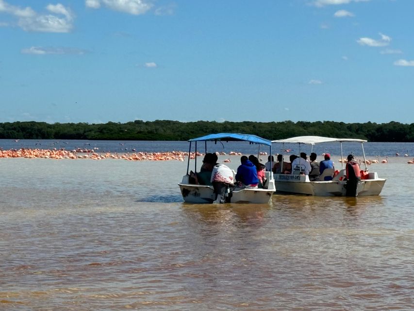 From Merida: Celestun Mangroves, Pink Flamingos and Beach - Key Points