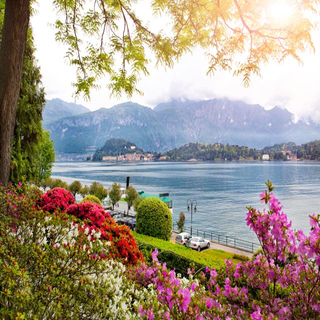 From Milan: Lake Como & Bellagio Private Guided Day Tour - Key Points