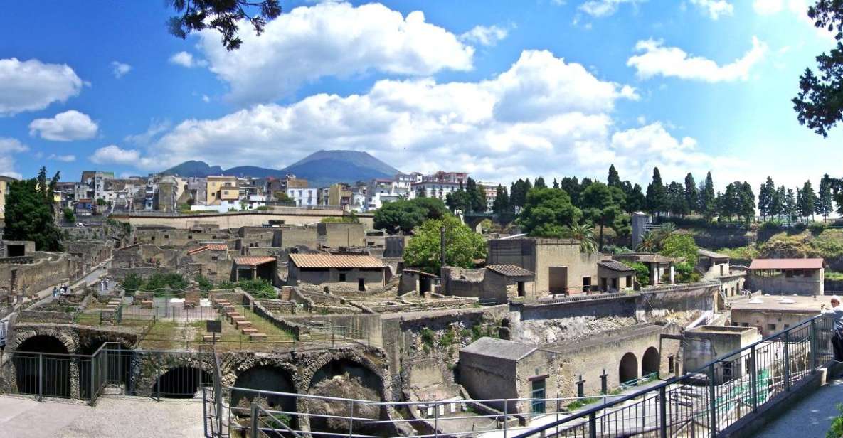 From Naples: Day Trip to Herculaneum With Skip the Line - Key Points