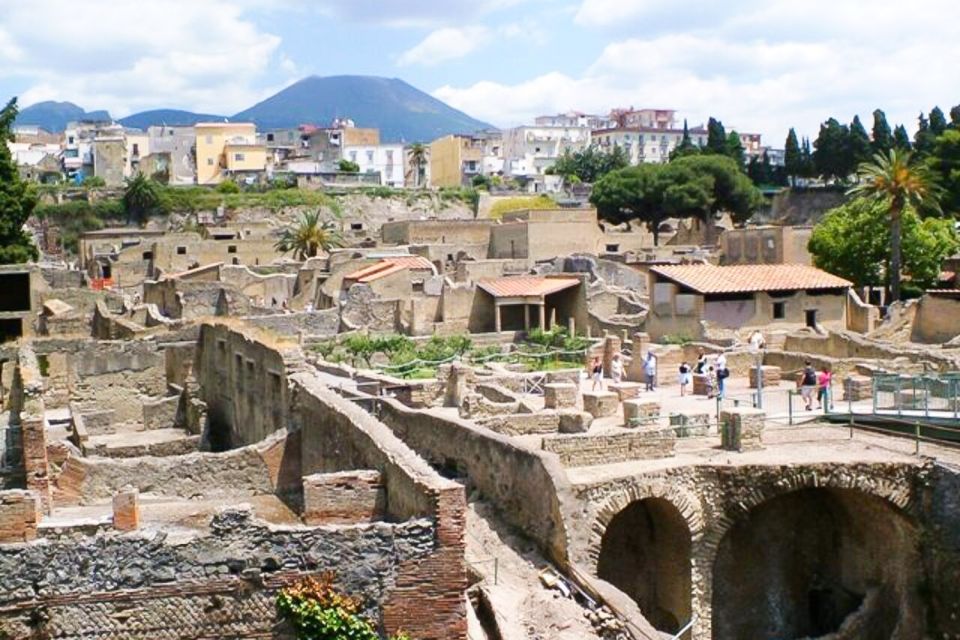 From Naples: Pompeii and Herculaneum Self-Guided Van Trip - Key Points