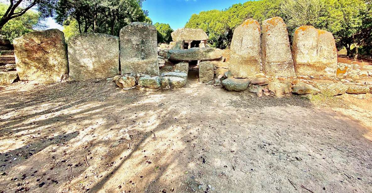 From Olbia: Sardinia Archaeological Tour - Key Points