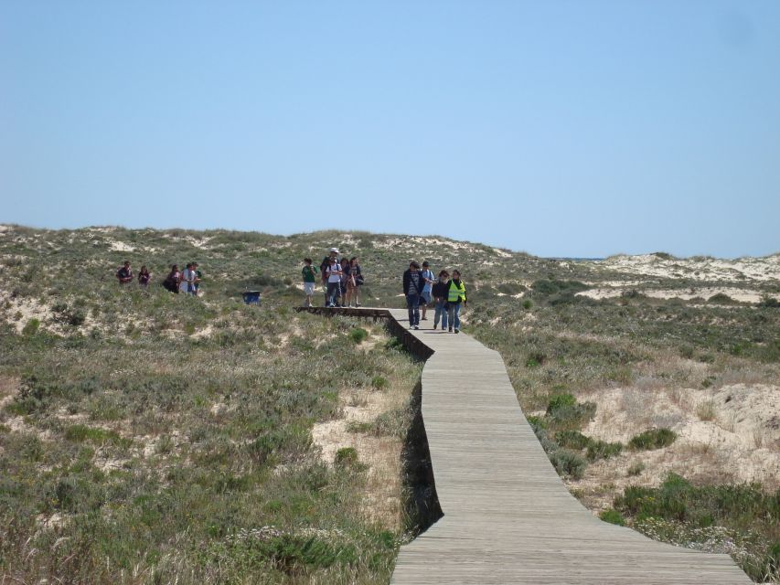 From Olhão: Ria Formosa & Culatra Island 3.5-Hour Boat Trip - Key Points