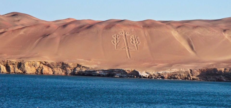 From Paracas || Excursion to the Ballestas Islands ||3 Hours - Key Points