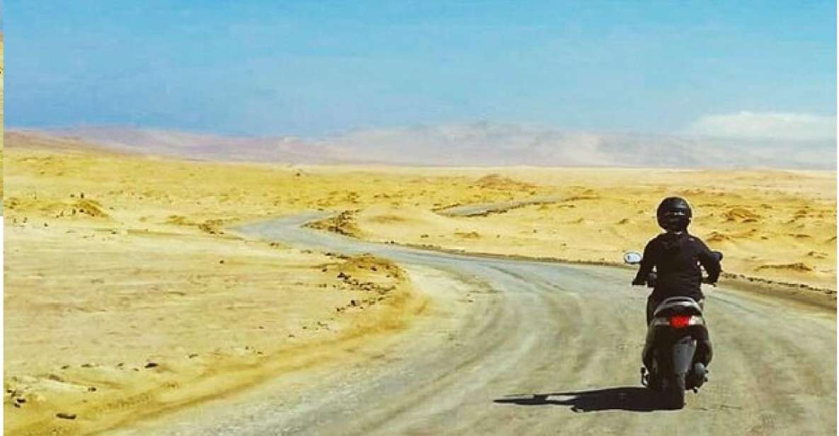 From Paracas: Tour Scootering to Paracas National Reserve - Key Points