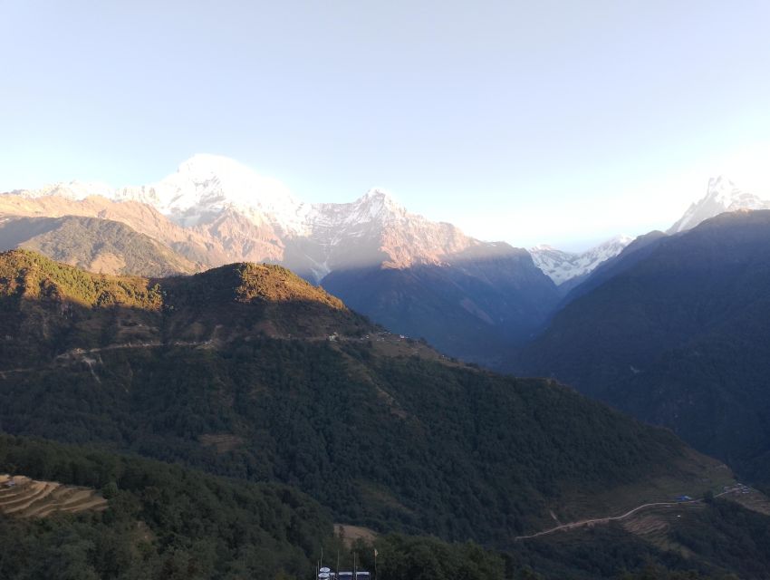 From Pokhara: 3 Night 4 Days Ghandruk Poon Hill Trek - Key Points