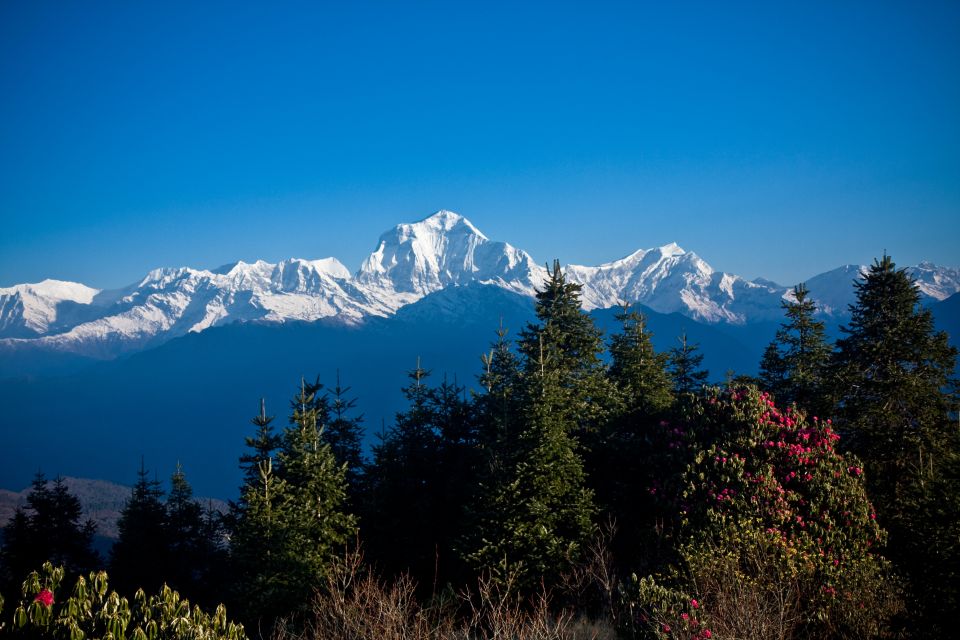 From Pokhara: Beautiful 2-Day Poon Hill Private Trek - Key Points