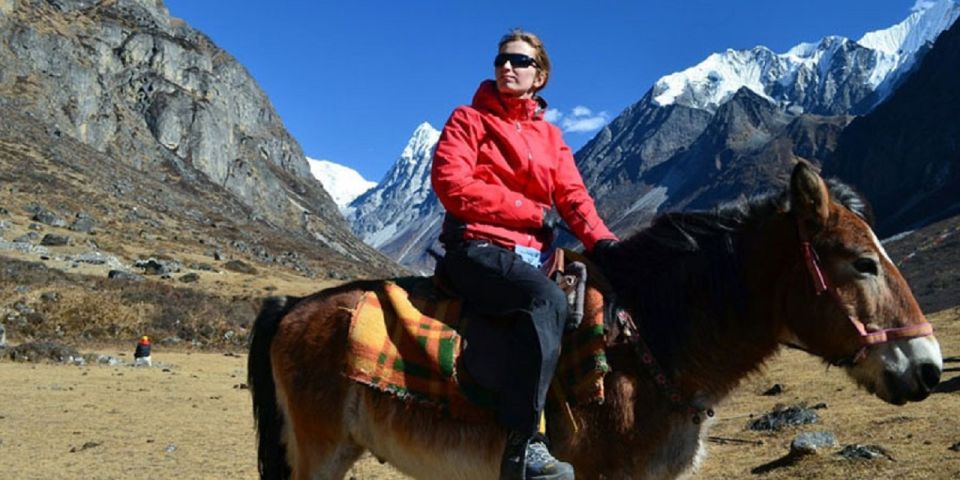 From Pokhara: Unforgettable Horseback Riding Adventure - Key Points