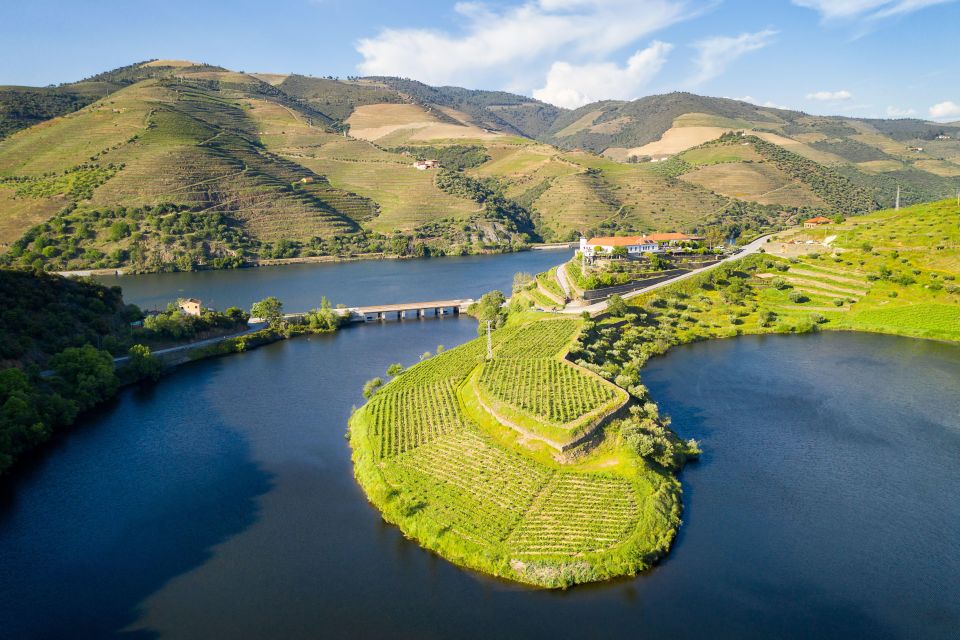 From Porto: Full-Day Douro Valley Trip and Port Wine Tasting - Key Points