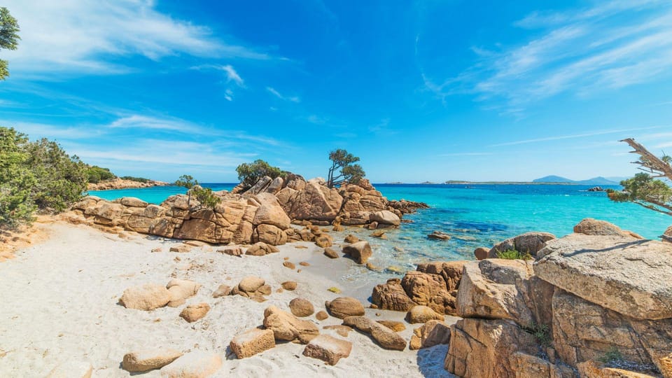 From Porto Rotondo: Private Dinghy Tour - Key Points