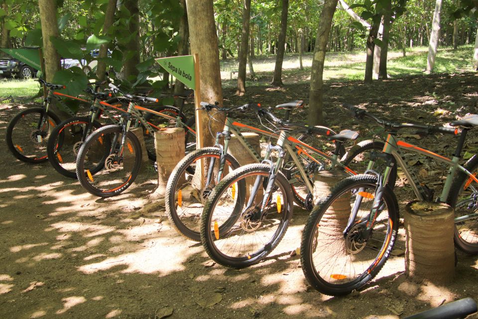 From Puerto Vallarta: Jungle Mountain Bike Tour - Key Points