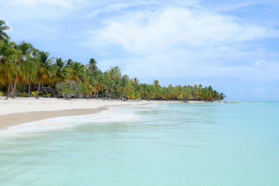 From Punta Cana: Saona Island Full-Day Catamaran Tour