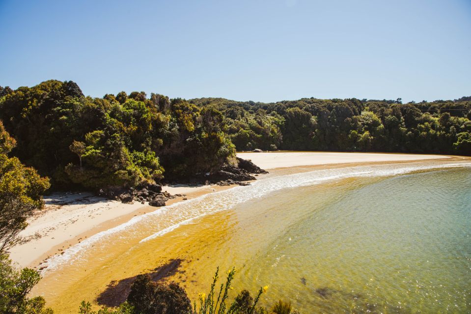 From Queenstown: Day Trip to Stewart Island by Plane - Key Points