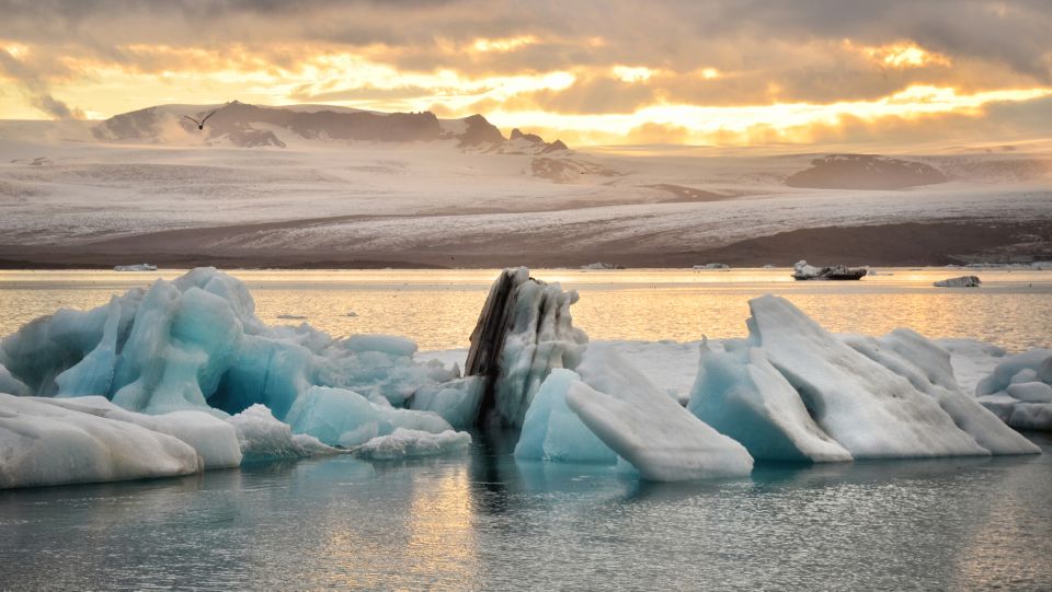 From Reykjavik: Glacier Lagoon Small Group Tour - Key Points