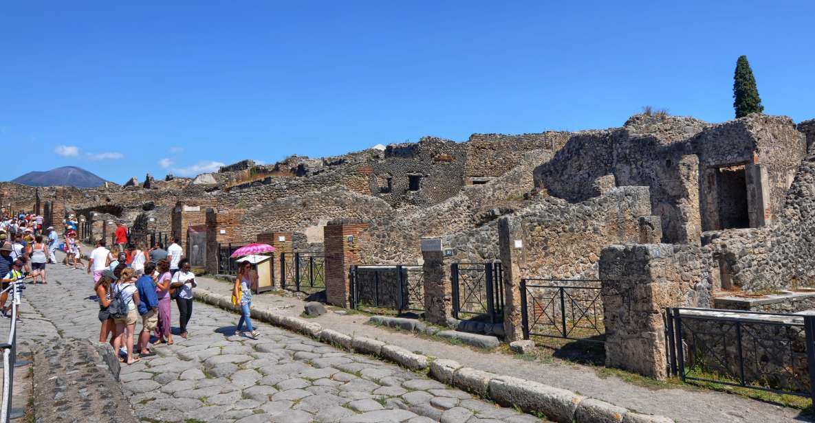 From Rome Round Trip Bus to Pompeii and Skip the Line Ticket - Key Points