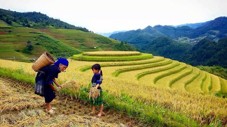 From Sa Pa: 5-Hour Muong Hoa Valley Trek and Ethnic Tribes - Key Points