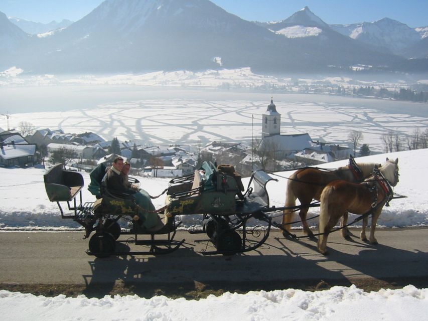 From Salzburg: Romantic Sleigh Ride Through the Countryside - Good To Know