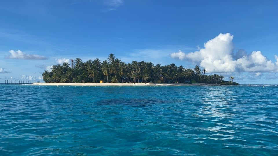 From San Andrés: Speedboat Tour to Johnny Cay Island - Key Points