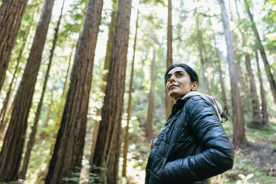 From San Francisco: Muir Woods National Monument Guided Tour - Key Points