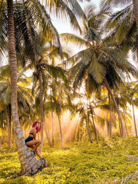 From Santa Marta: Tayrona National Park Guided Tour - Key Points