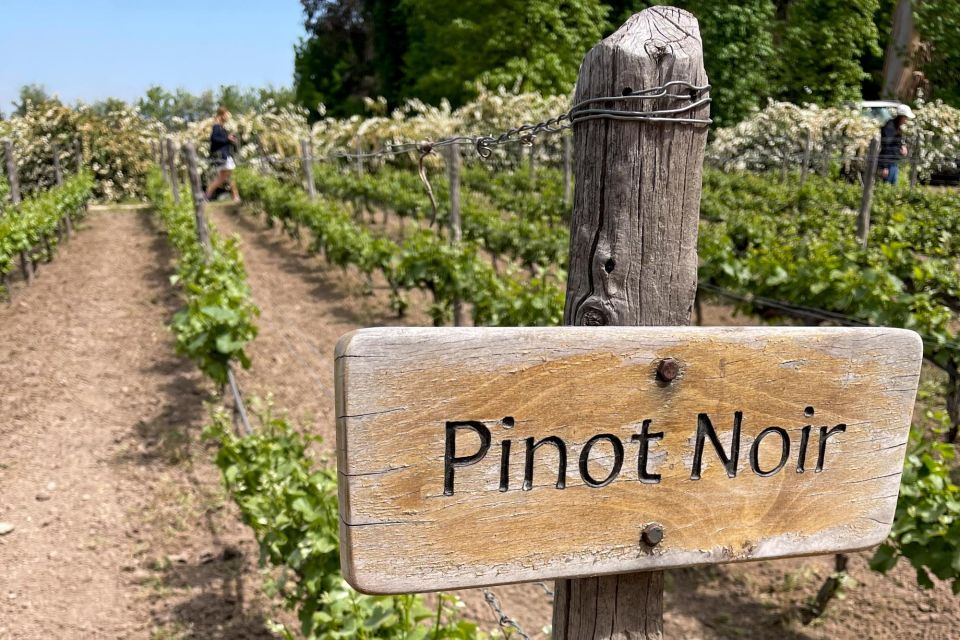 From Santiago: Concha Y Toro Half-Day Winery Tasting Tour - Key Points