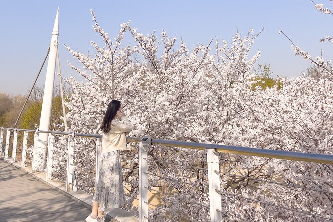 From Seoul: Chasing Cherry Blossom & Spring Flowers Day Tour