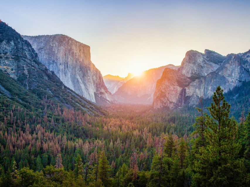 From SFO-Yosemite National Park-Enchanting Full Day Tour - Key Points