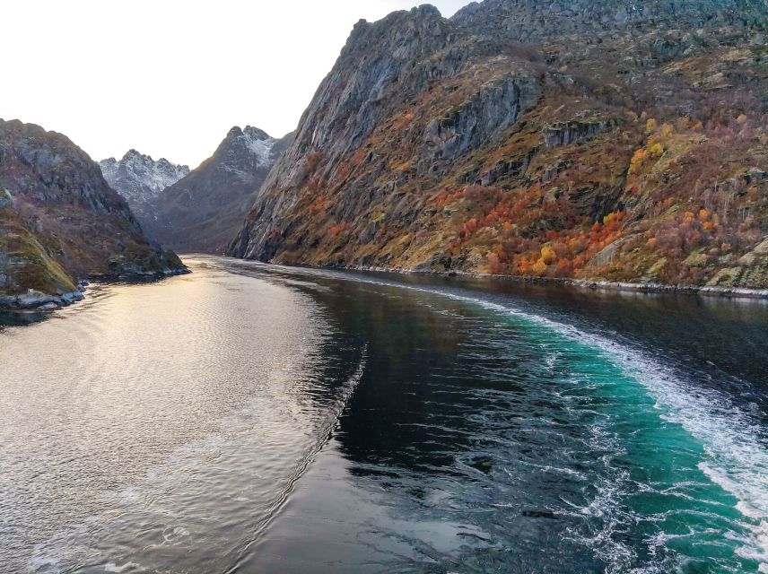 From Svolvær: Lofoten Islands Silent Trollfjord Cruise - Good To Know
