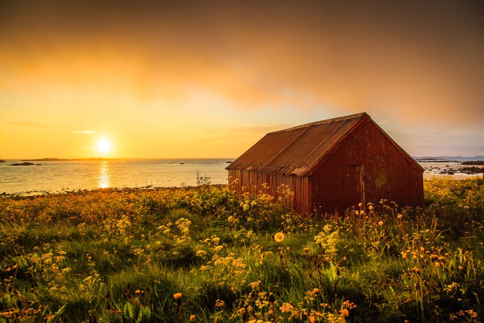 From Svolvær: Midnight Sun Photography Tour - Good To Know