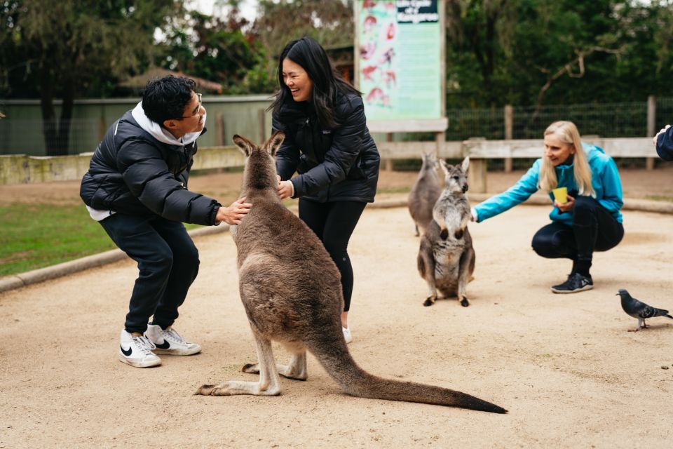 From Sydney: Blue Mountains Nature and Wildlife Tour - Key Points