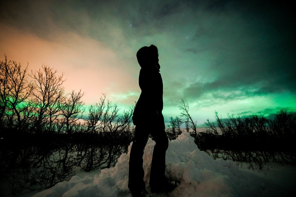 From Tromsø: Aurora Borealis Tour - Good To Know