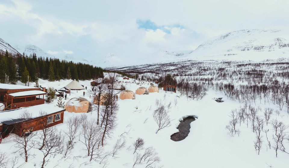 From Tromsø: Daytime Reindeer Sledding at Camp Tamok - Good To Know
