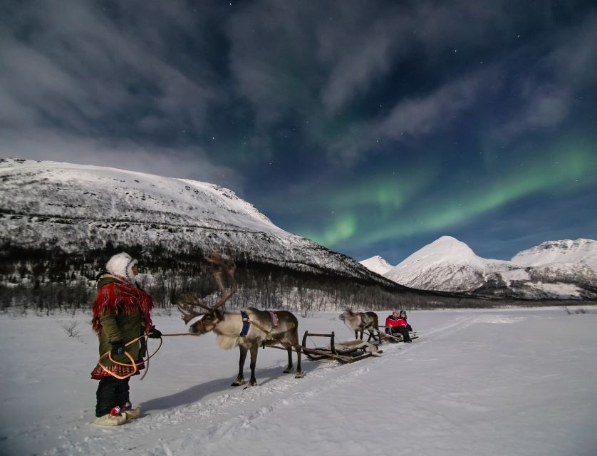 From Tromsø: Evening Reindeer Sledding at Camp Tamok - Good To Know